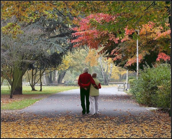 Прогулка по осеннему саду