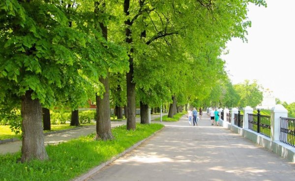 Верхний городской парк Рязань