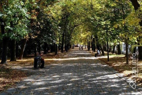 Наташкин парк Рязань