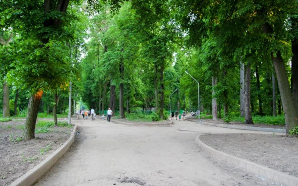 Парк Рюмина роща Рязань