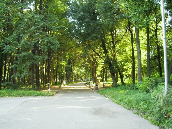 Парк Рюмина роща Рязань