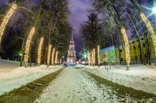 Соборный парк Рязань зима