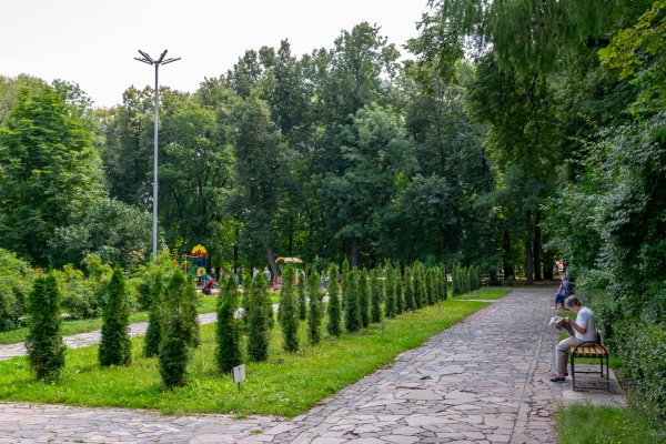 Верхний парк Рязань