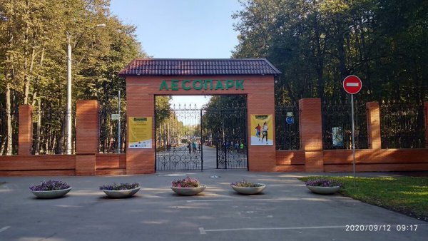 Лесопарк Рязань парк