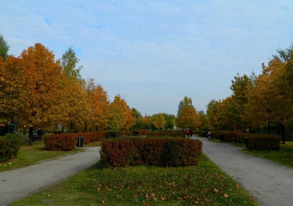 Парк ЦПКИО Рязань осенью