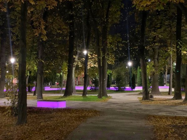Верхний городской парк Рязань