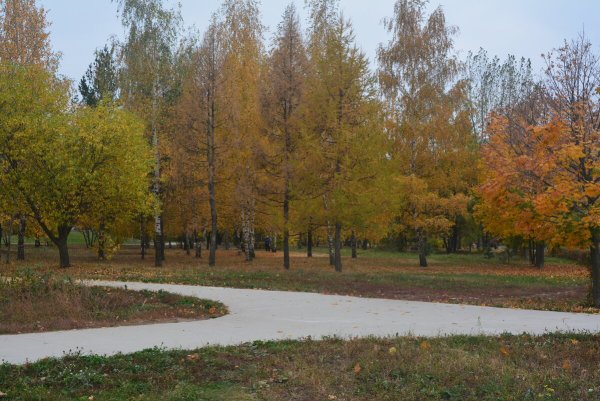 Парк Рязанский Рязань