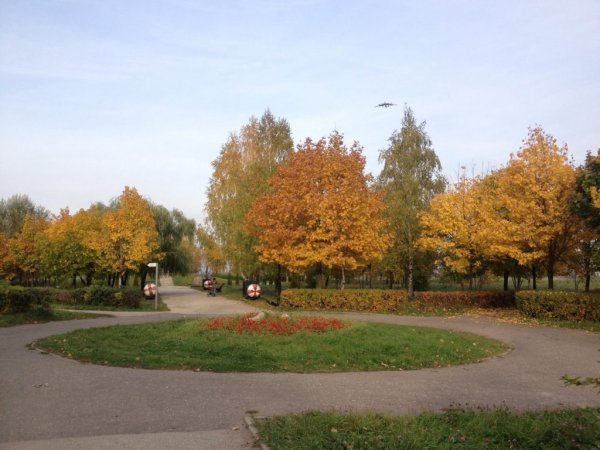 Парк в Канищево Рязань