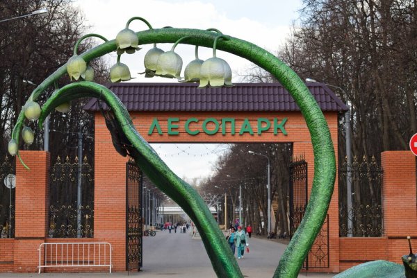 Парк в Рязани Рязанский лесопарк