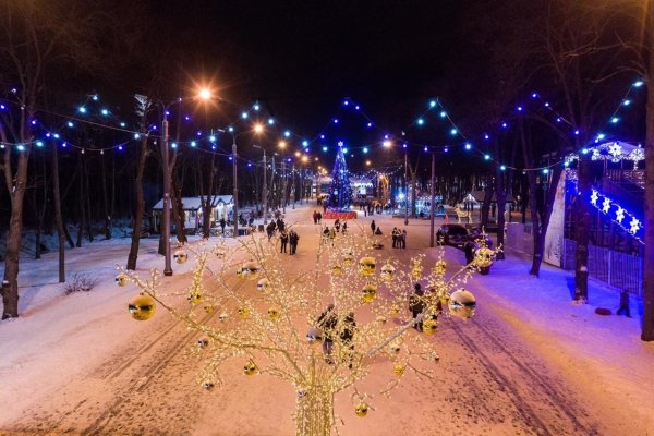 Лесопарк Рязань
