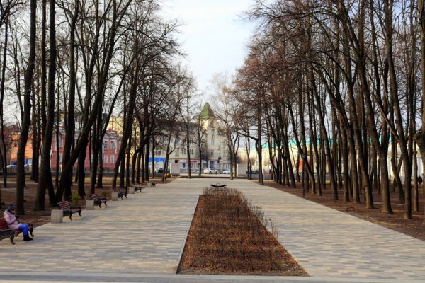 Соборный парк Рязань зима