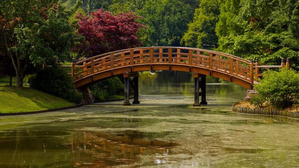 Кольцов парк пруд мостик