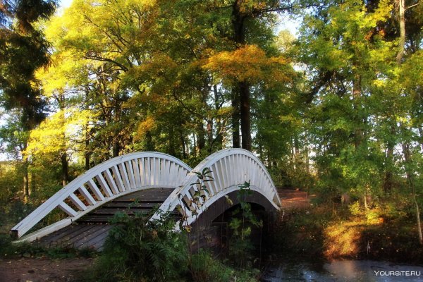 Парк Монрепо мостик