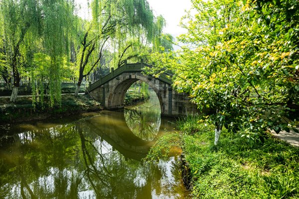 Павловск китайский мостик