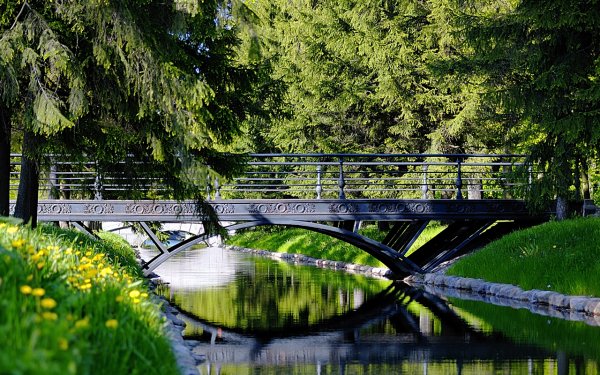 Питер Стасов мост