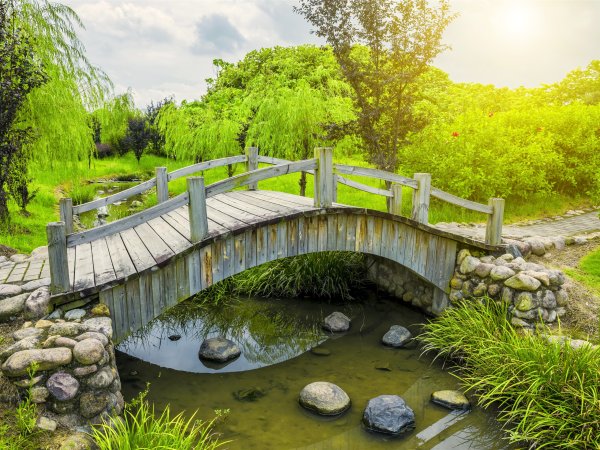 Парк прудик мостик дерево