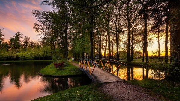 Красивые пейзажи с парком