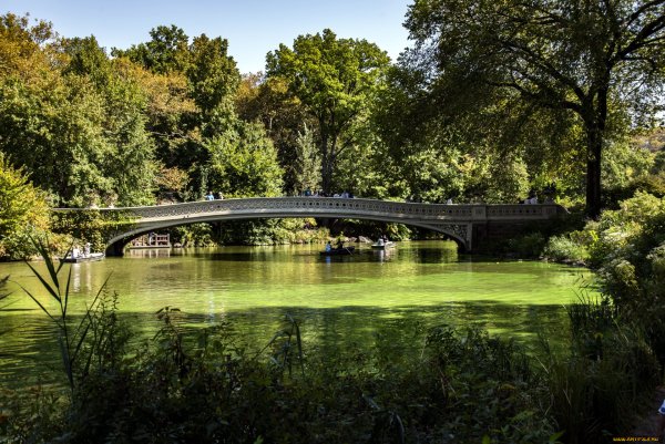 Мост БОУ бридж централ парк