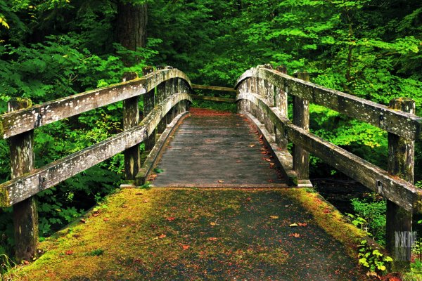 Парк Орегона лестница