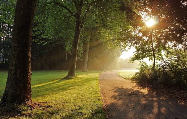 Летний парк