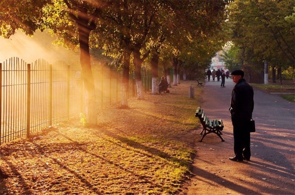 Прогулка в городе