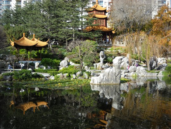 Китайский сад дружбы Сидней