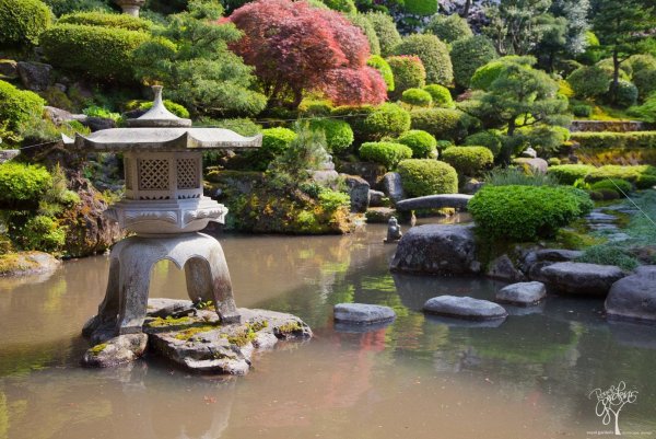 Садово-Парковое искусство древней Японии