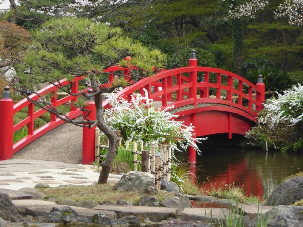 Японский мостик Яцухаси