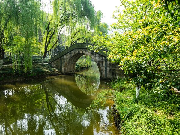 Павловск китайский мостик