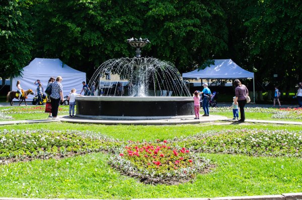 Город Владимир парк Липки