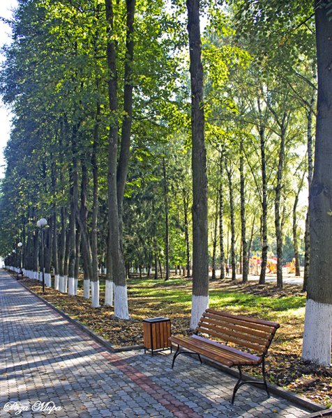 Город Владимир Центральный парк