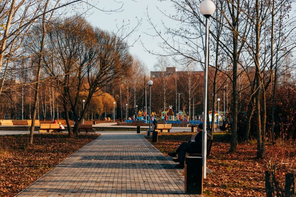 Парк Добросельский Владимир зимой