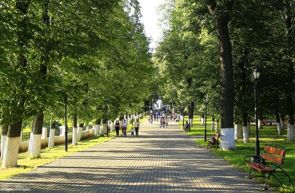 Пушкинский сквер Владимир