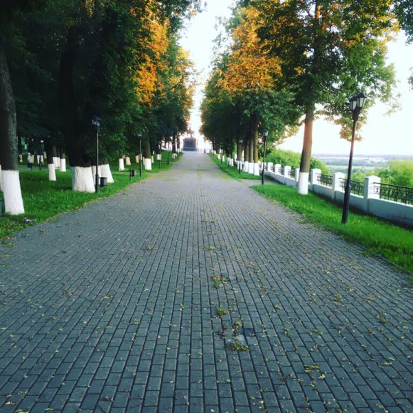 Сквер Липки Владимир