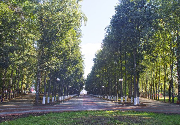 Центральный парк Владимир