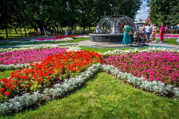 Город Владимир парк Липки
