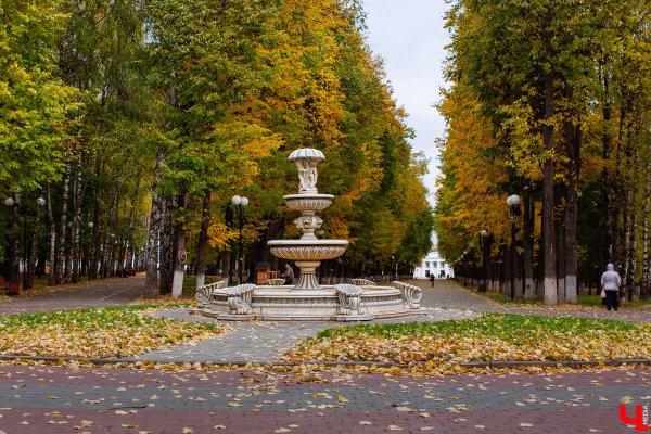 Город Владимир Центральный парк