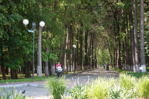 Парк Владимировская обл