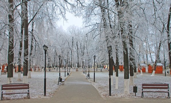 Парк 850 летия Владимир зимой