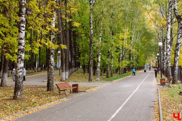 Парк 800 летия Владимир