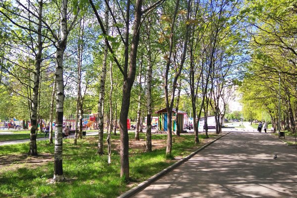 Лесной парк Дружба во Владимире