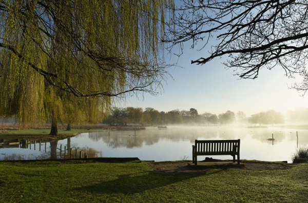 Пейзажный парк Царицыно скамейки