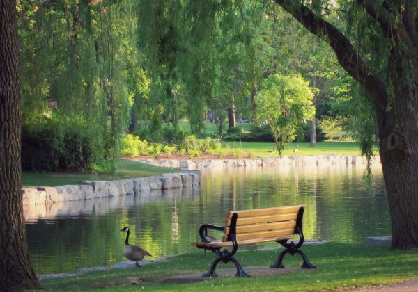 Природно-исторический лесопарк Царицыно лавочки