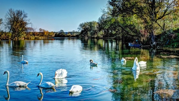 Парк Лебединое озеро Дзержинск
