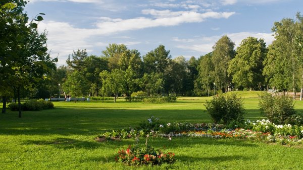 Таврический парк рскень.