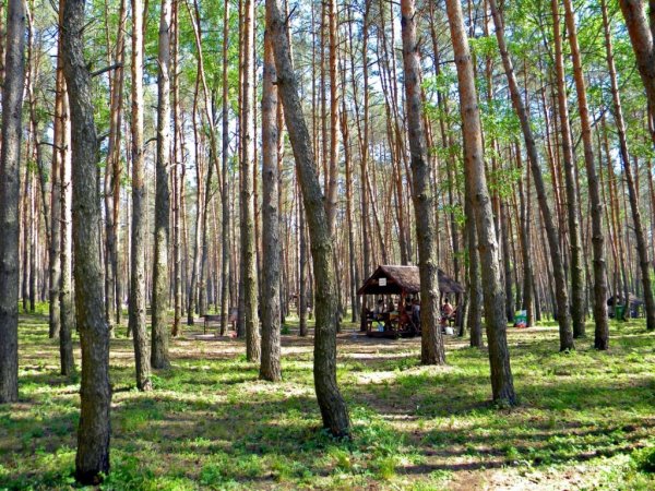 Пикник-парк Белгород