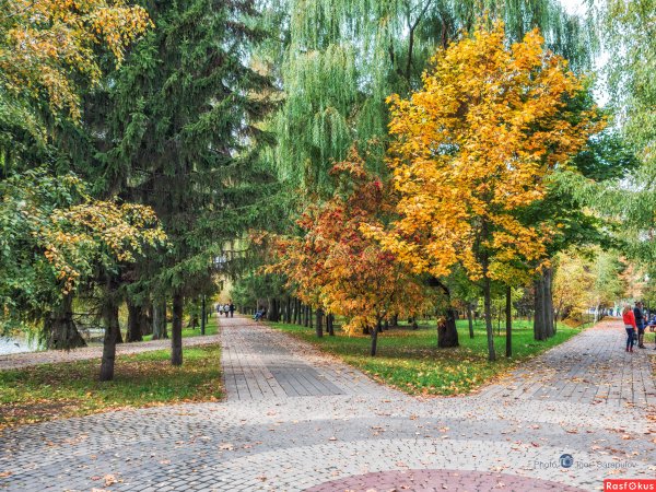 Парк Победы Белгород осень