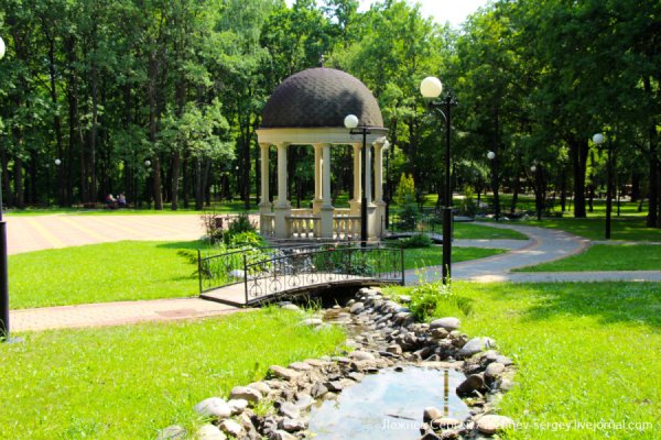 Строитель Яковлевский район парк роз