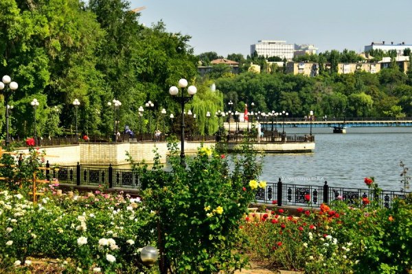 Парк Щербакова Донецк розы