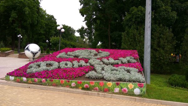 Парк Щербакова цветник Донецк